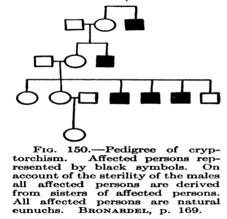 Figura 152, página 170, de Davenport, Charles Benedict. La herencia en Relación con la eugenesia. Nueva York: Henry Holt and Company, 1911.