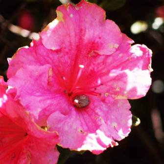 Fotografia propiedad de Aglowen