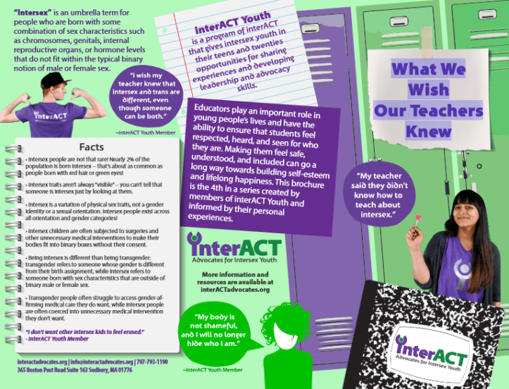 Folleto interACT.png